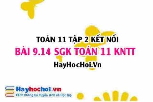 Bài 9.14 SGK Toán 11 Tập 2 Kết nối tri thức: Tính đạo hàm cấp hai